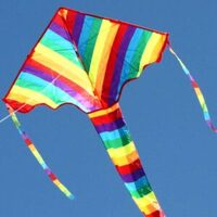 Rainbow Delta Single String Kite 882