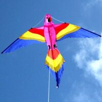 Lorikeet Single String Kite (WS-883)