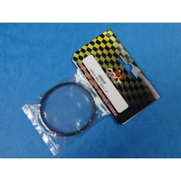 Drive Belt Middle (CTM0048)