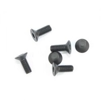  FHHS M3 x 8 RH10247