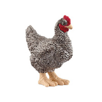 Plymouth Rock Chicken SC13997